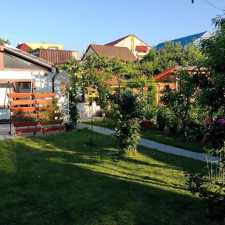 Casa Ienciu Apartment Sibiu Ngoại thất bức ảnh