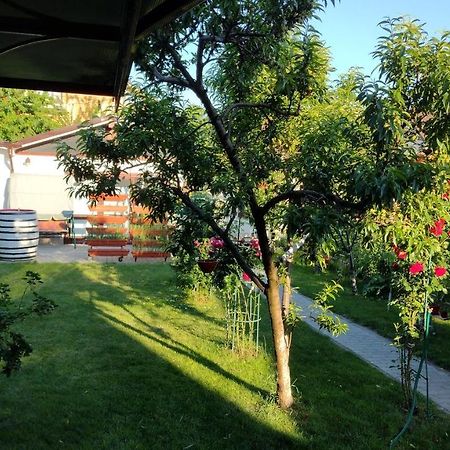 Casa Ienciu Apartment Sibiu Ngoại thất bức ảnh